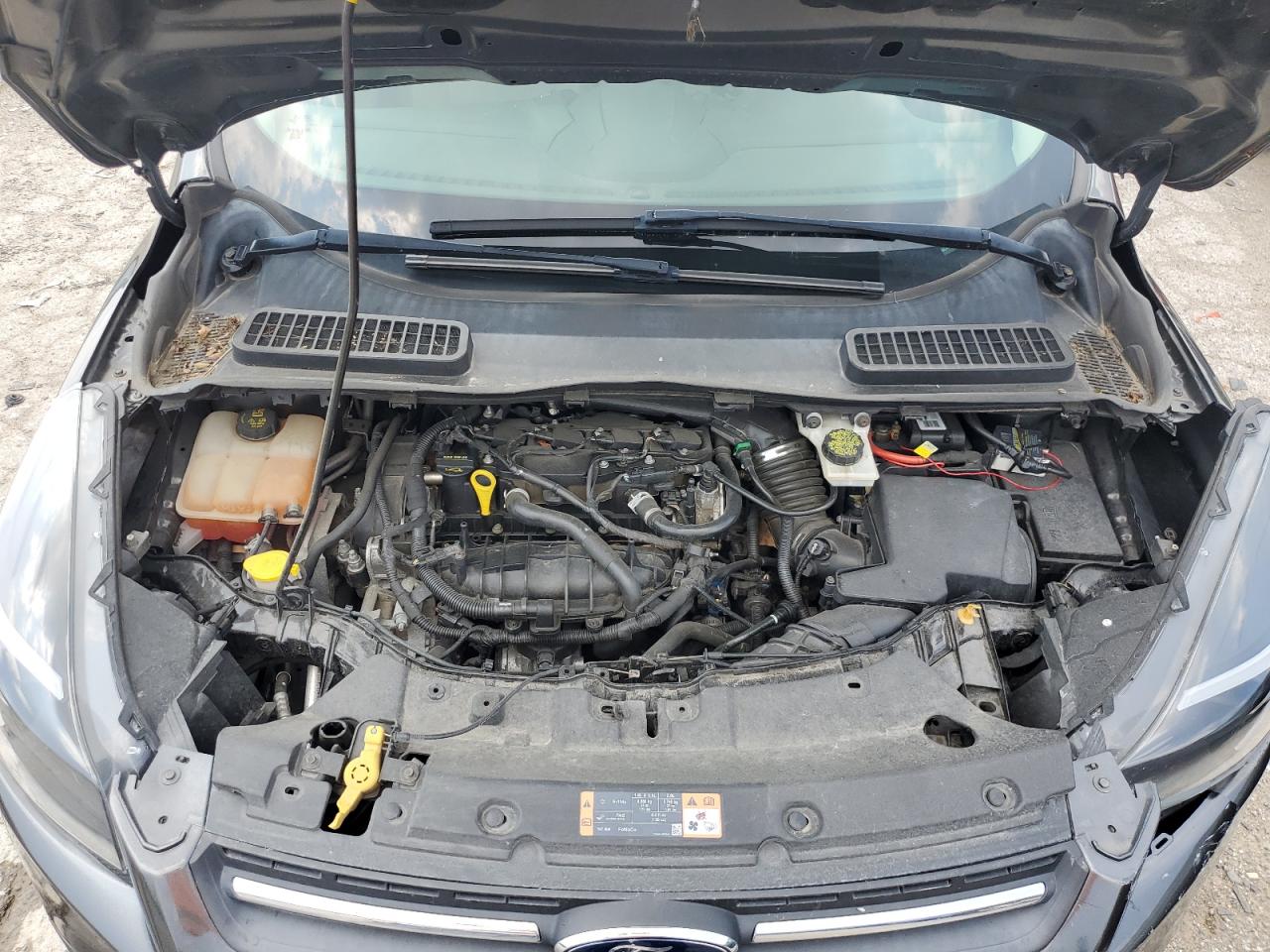 2015 Ford Escape Se VIN: 1FMCU0GX2FUB96797 Lot: 64215824