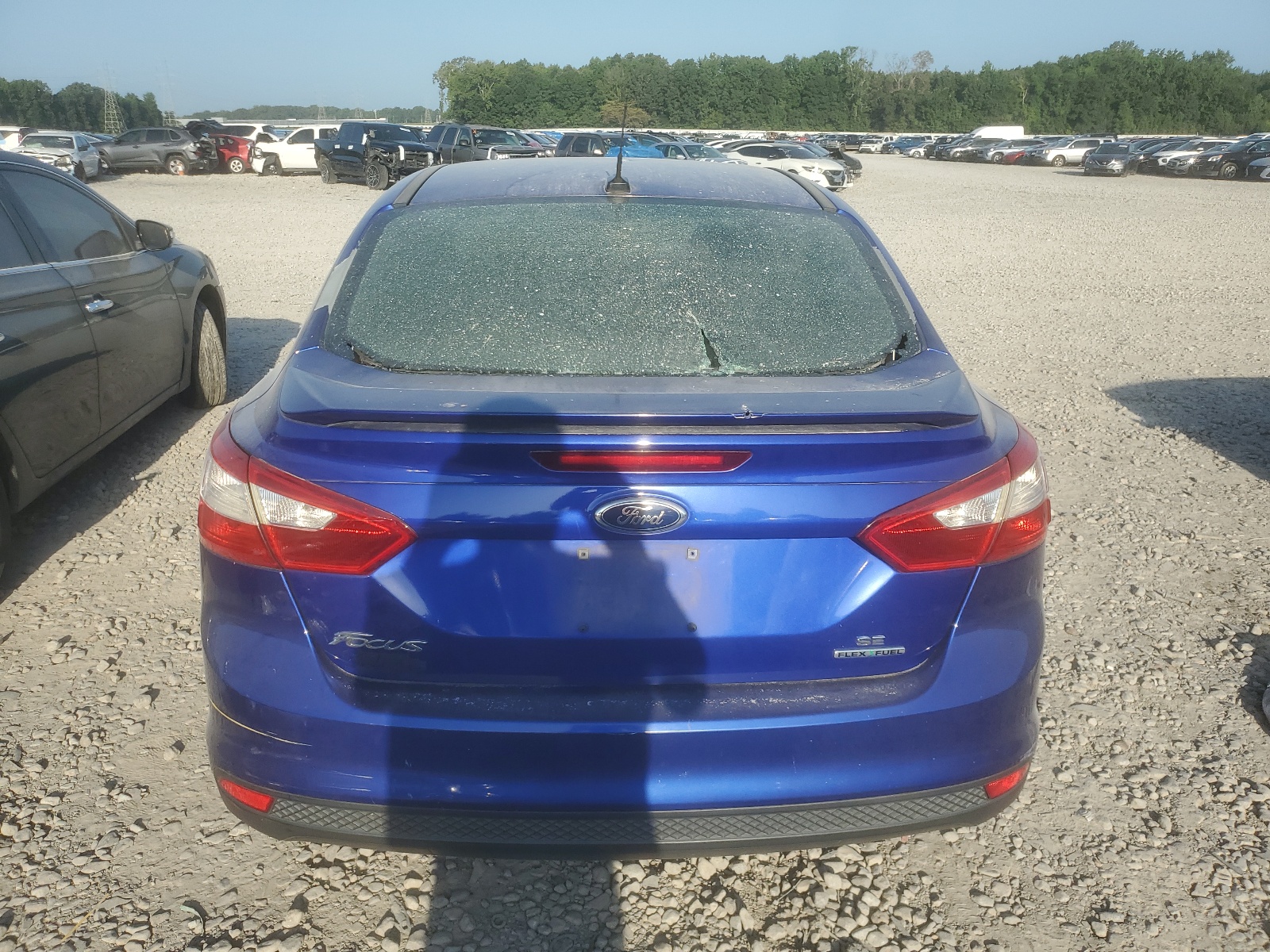 2013 Ford Focus Se vin: 1FADP3F29DL112118