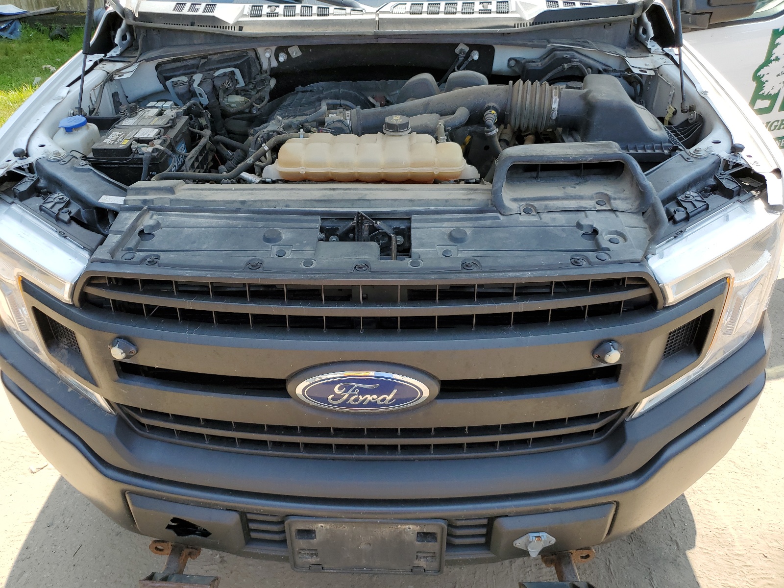 1FTMF1EB4KKC17316 2019 Ford F150