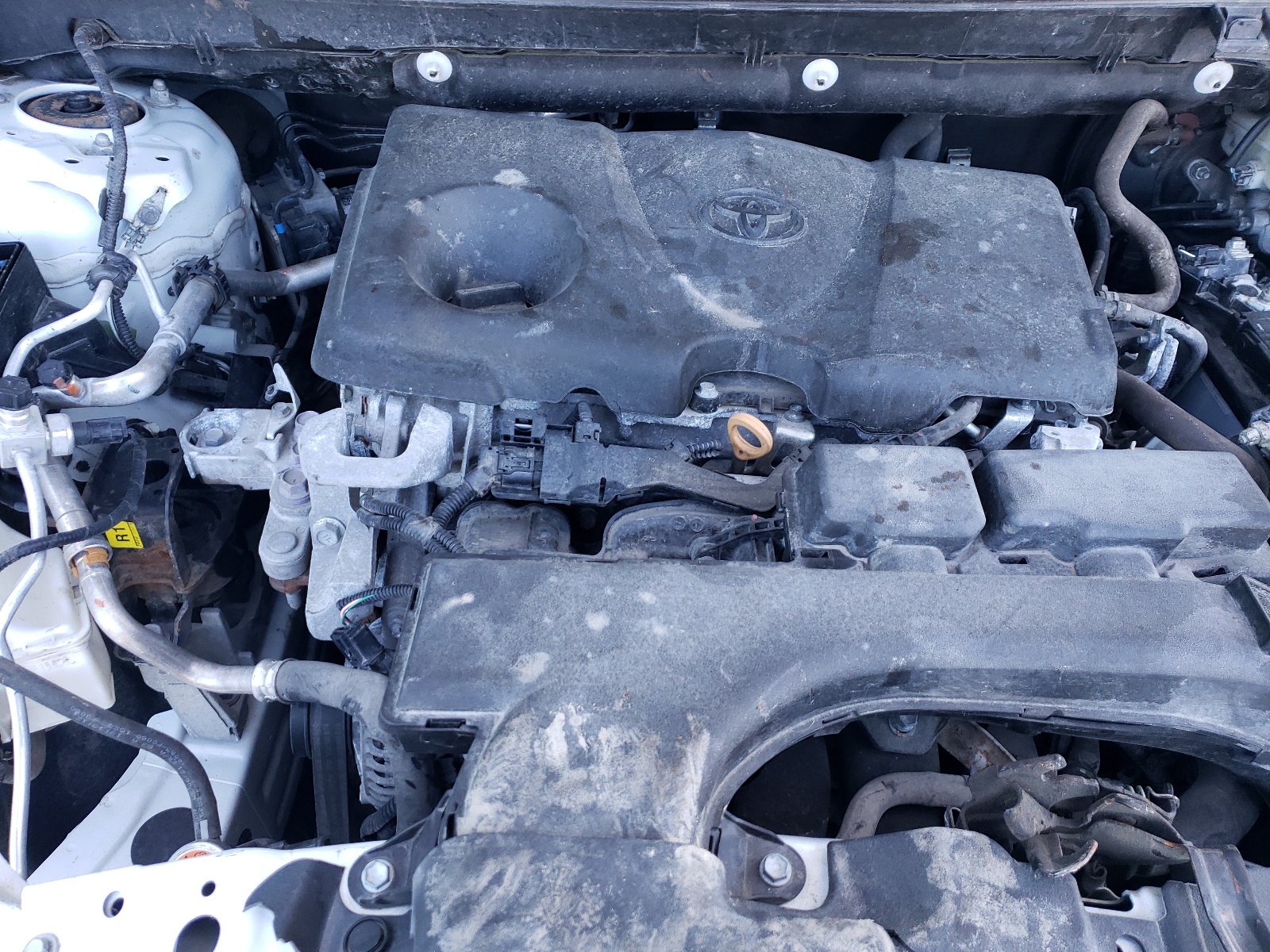 2T3B1RFV4MC200301 2021 Toyota Rav4 Le