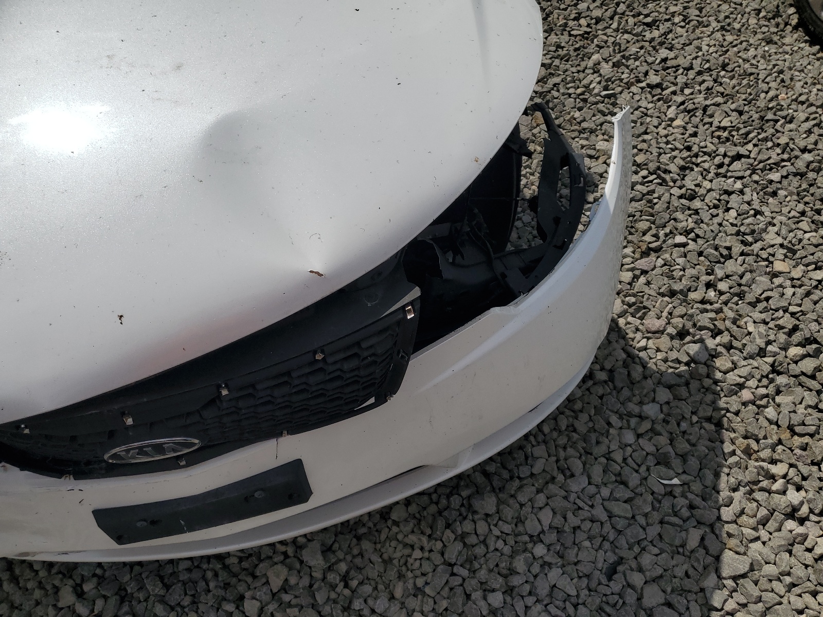 KNAFU4A26C5589016 2012 Kia Forte Ex