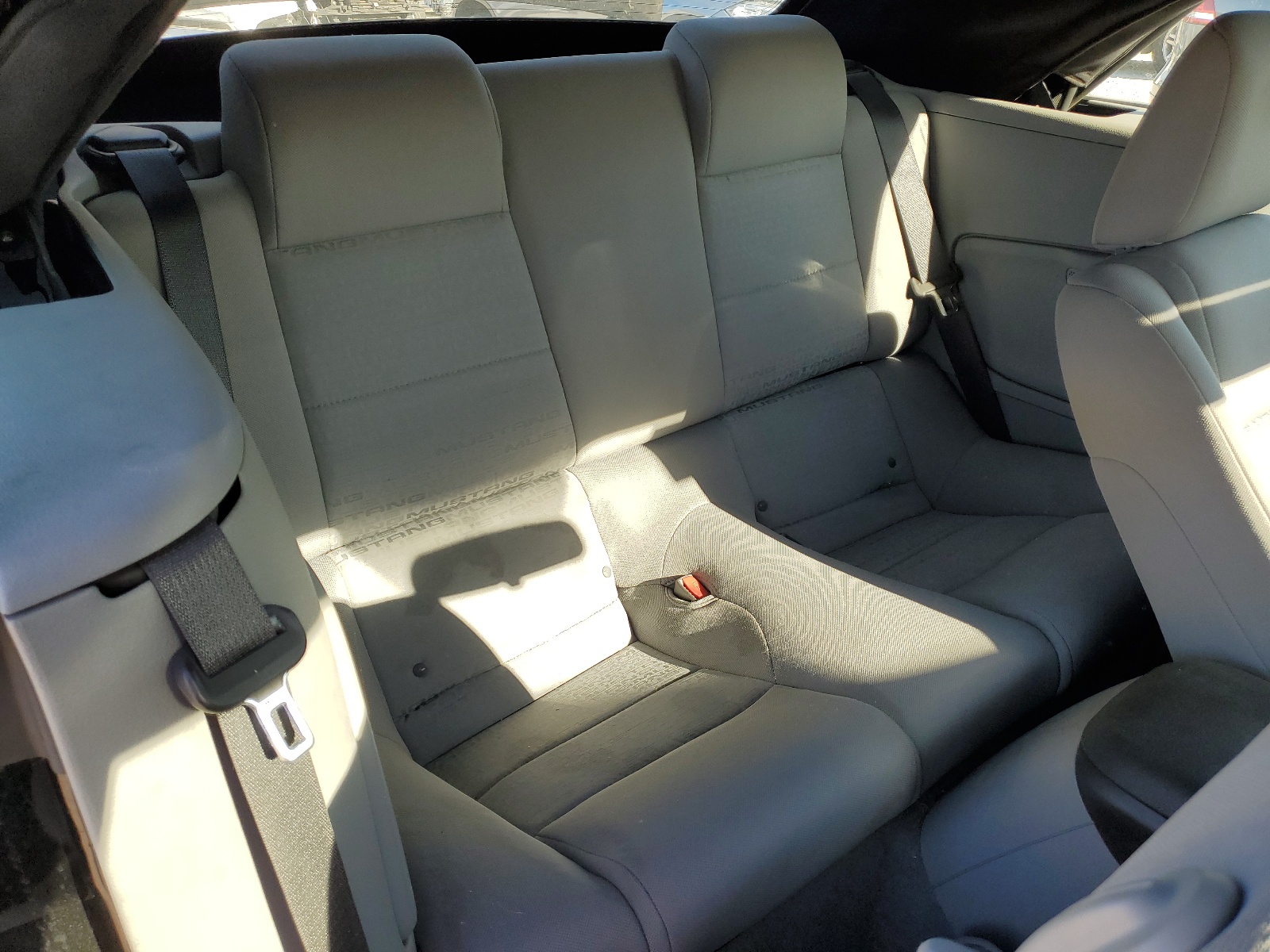 1ZVHT84N885165580 2008 Ford Mustang