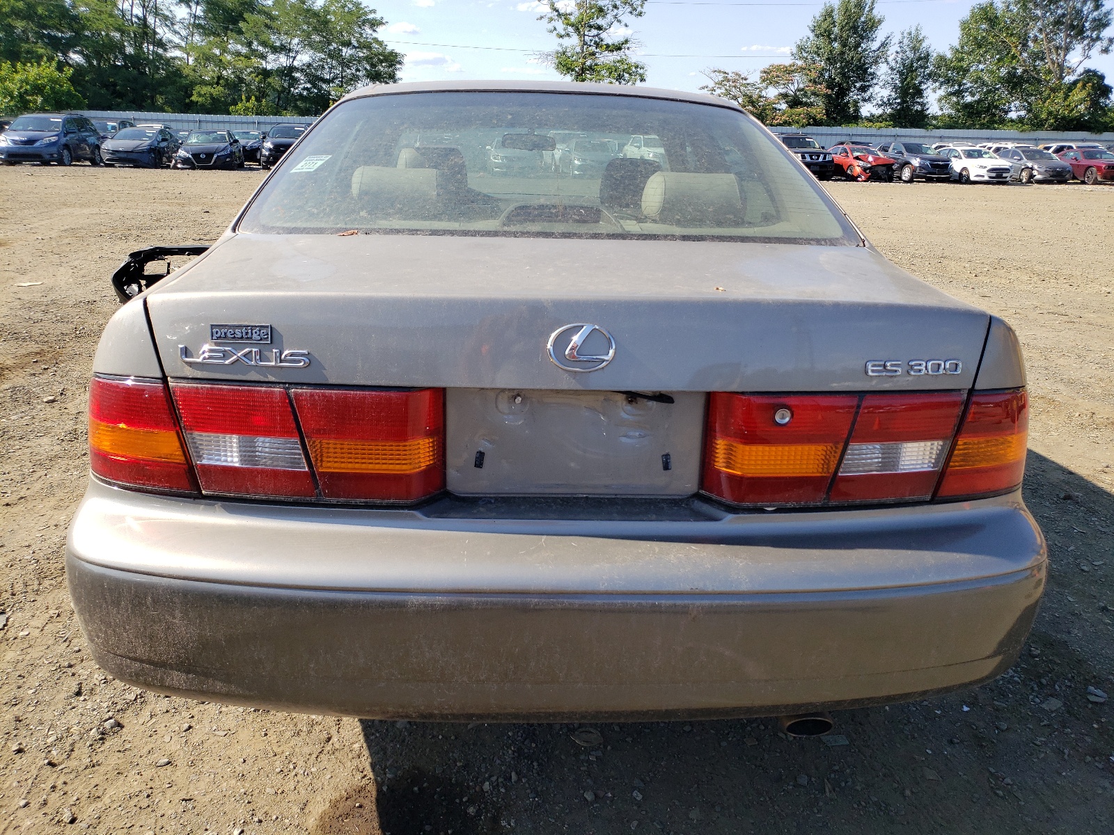 JT8BF28G9X0220153 1999 Lexus Es 300