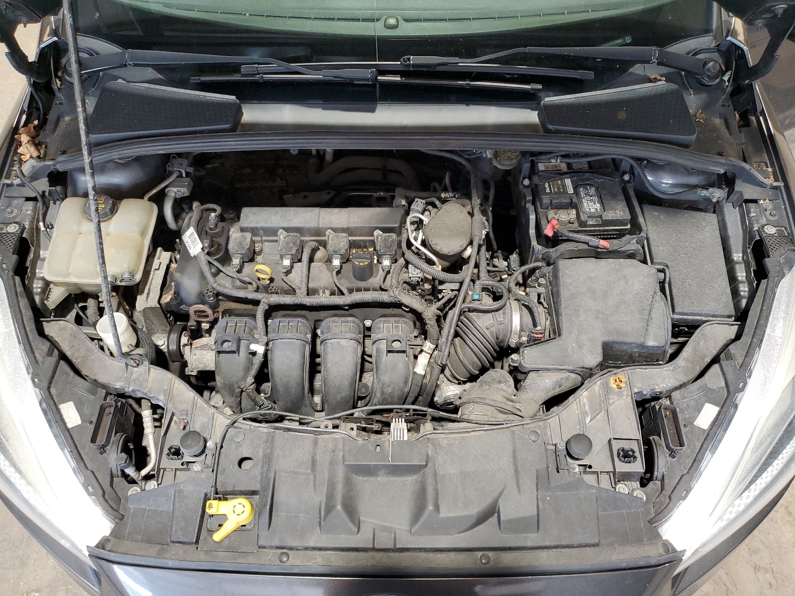 1FADP3F2XFL299081 2015 Ford Focus Se