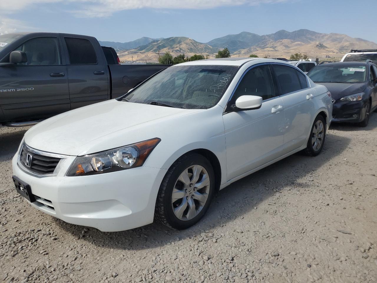 JHMCP26728C045054 2008 Honda Accord Ex