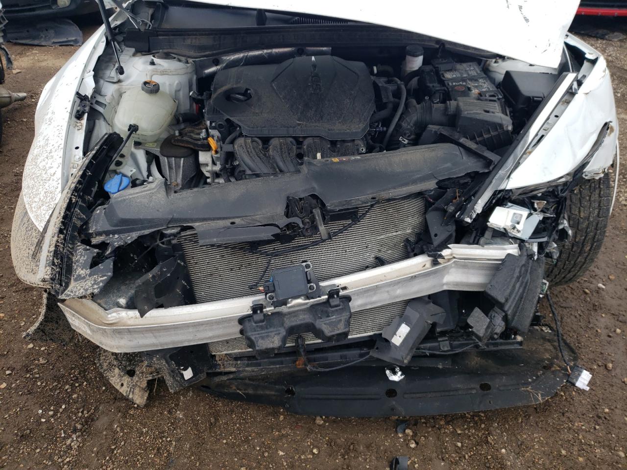 2020 Hyundai Sonata Sel VIN: 5NPEL4JA3LH055528 Lot: 64470144