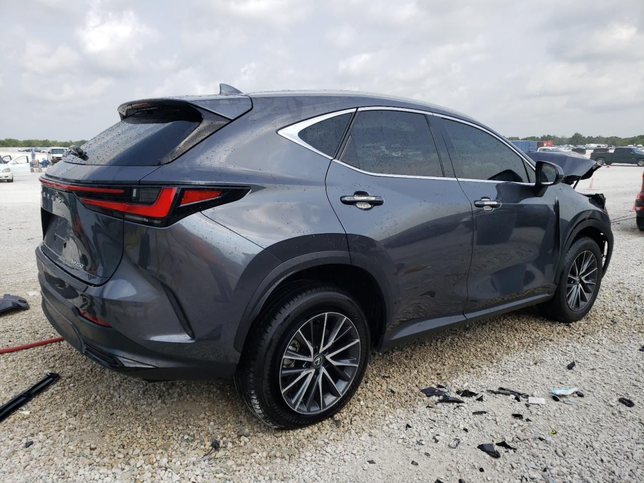 2024 Lexus Nx 250 Base VIN: 2T2ADCAZ2RC006291 Lot: 54922484