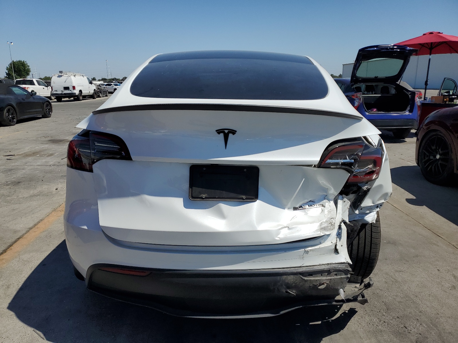 7SAYGDEF6PF843749 2023 Tesla Model Y