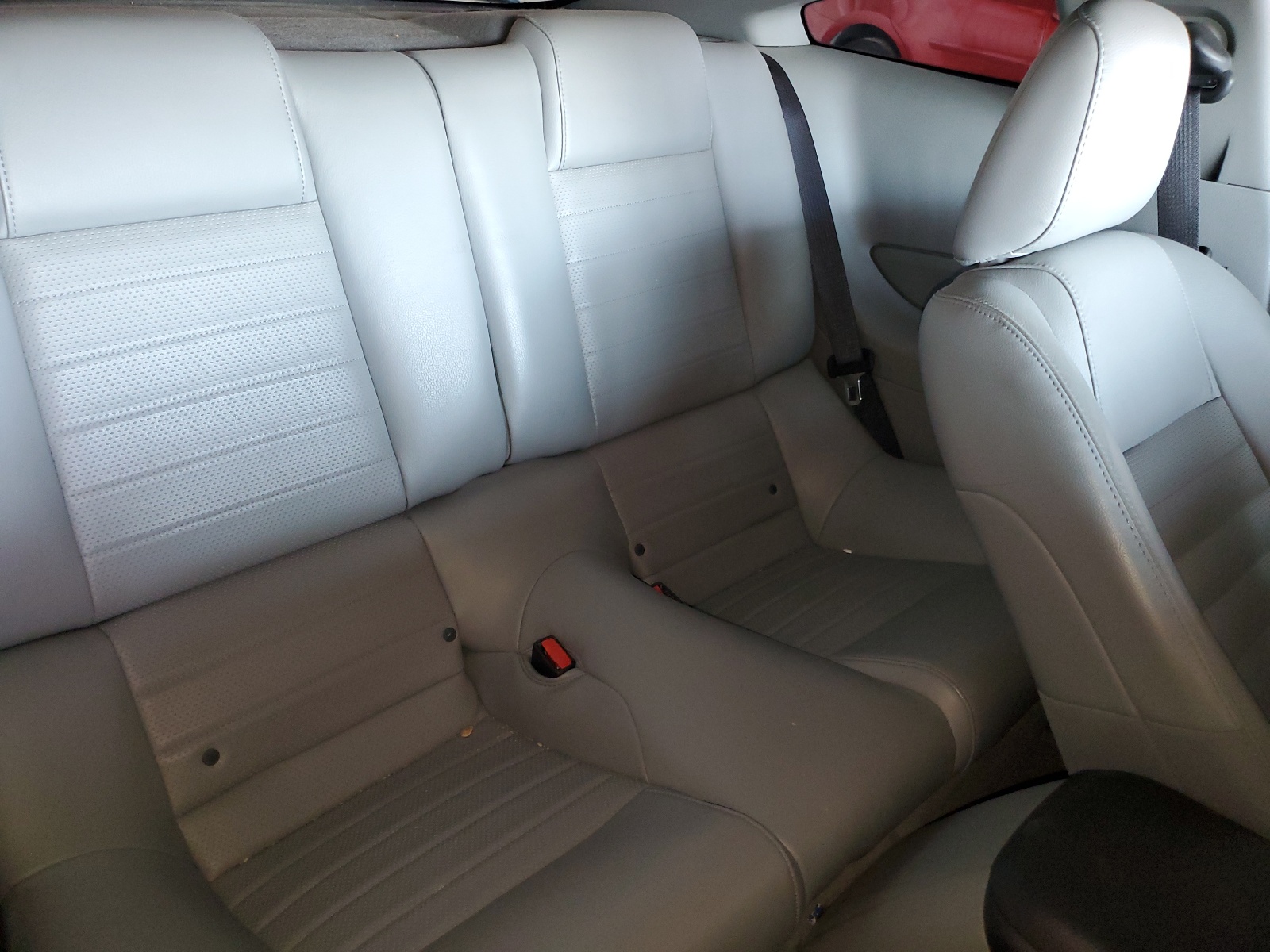 1ZVHT82H365191692 2006 Ford Mustang Gt