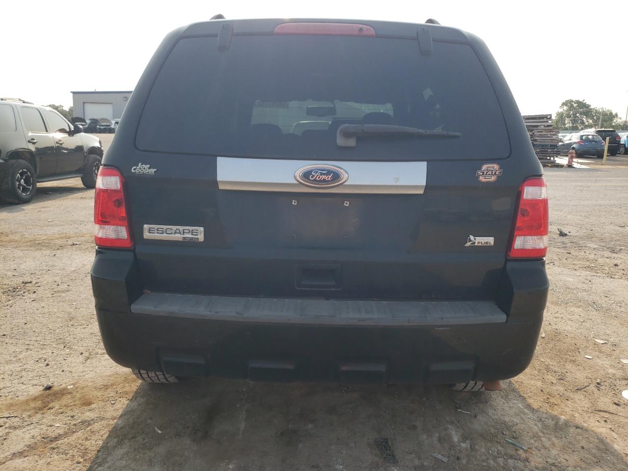 2010 Ford Escape Limited VIN: 1FMCU0EG3AKB89137 Lot: 64767744