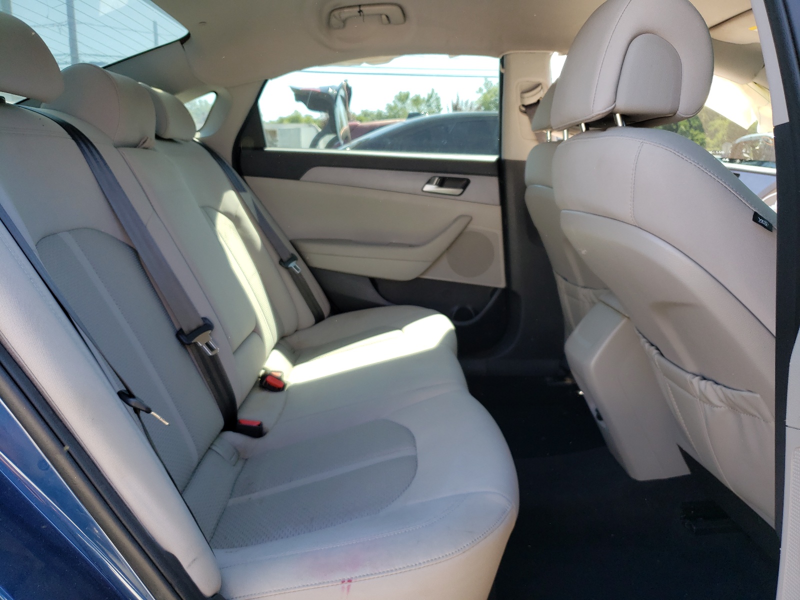 5NPE24AF1HH590492 2017 Hyundai Sonata Se