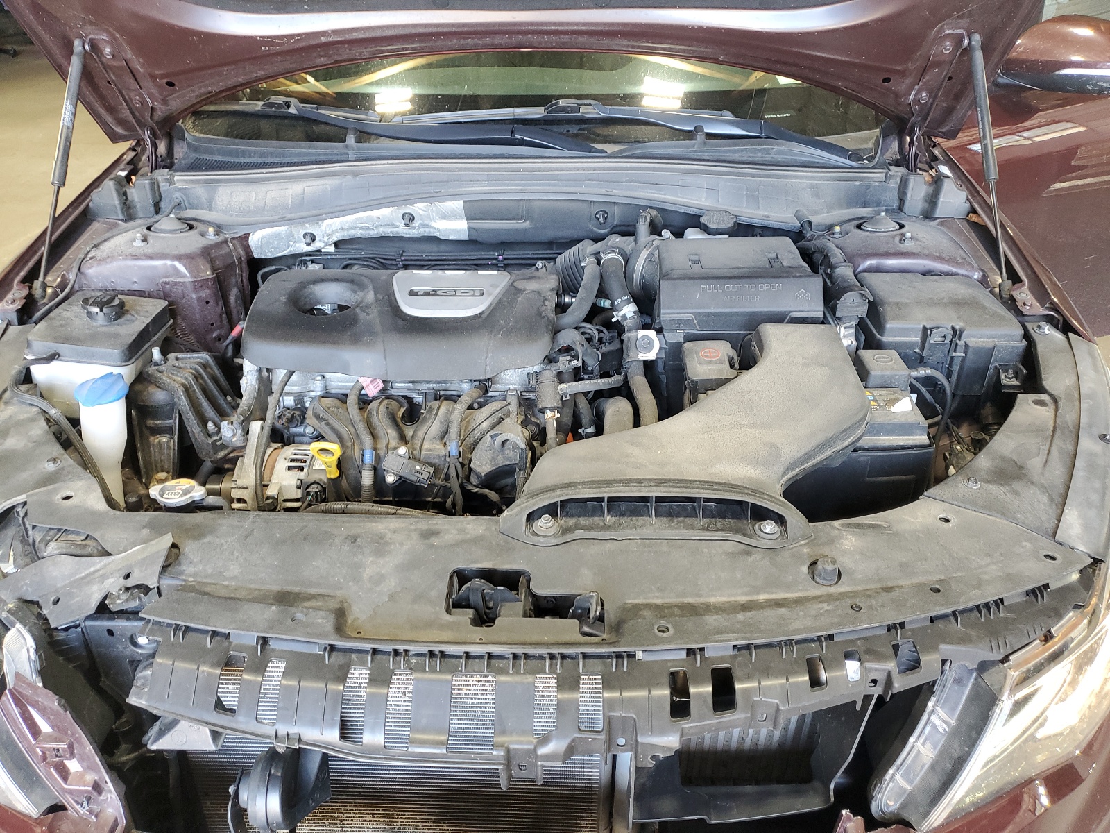 5XXGU4L14KG343782 2019 Kia Optima Ex