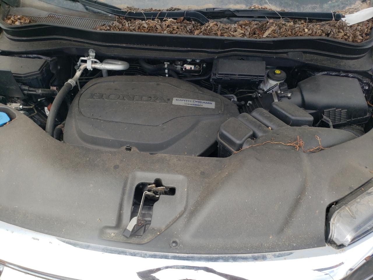 2020 Honda Pilot Exl VIN: 5FNYF6H50LB063108 Lot: 61189264