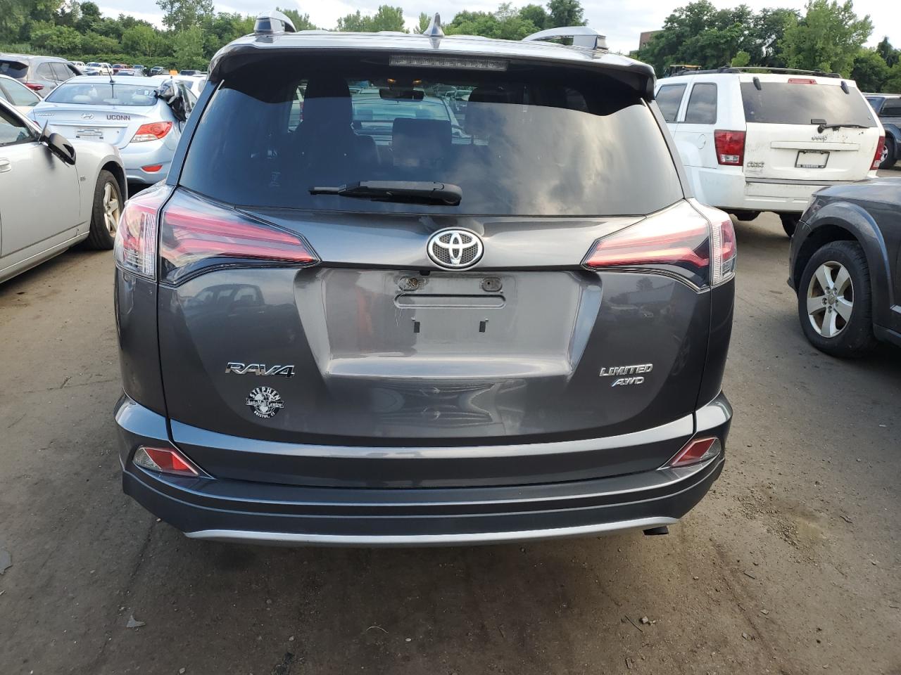 2017 Toyota Rav4 Limited VIN: JTMDFREVXHJ163107 Lot: 65554224