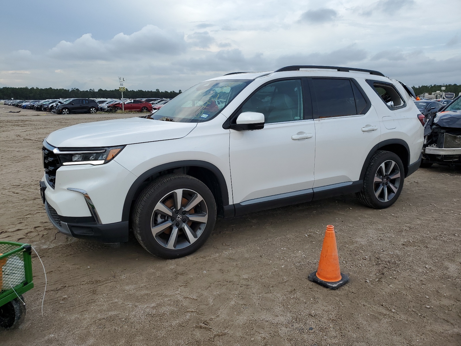 5FNYG1H81RB020352 2024 Honda Pilot Elite 5FNYG1H81RB020352 2024 Honda Pilot Elite