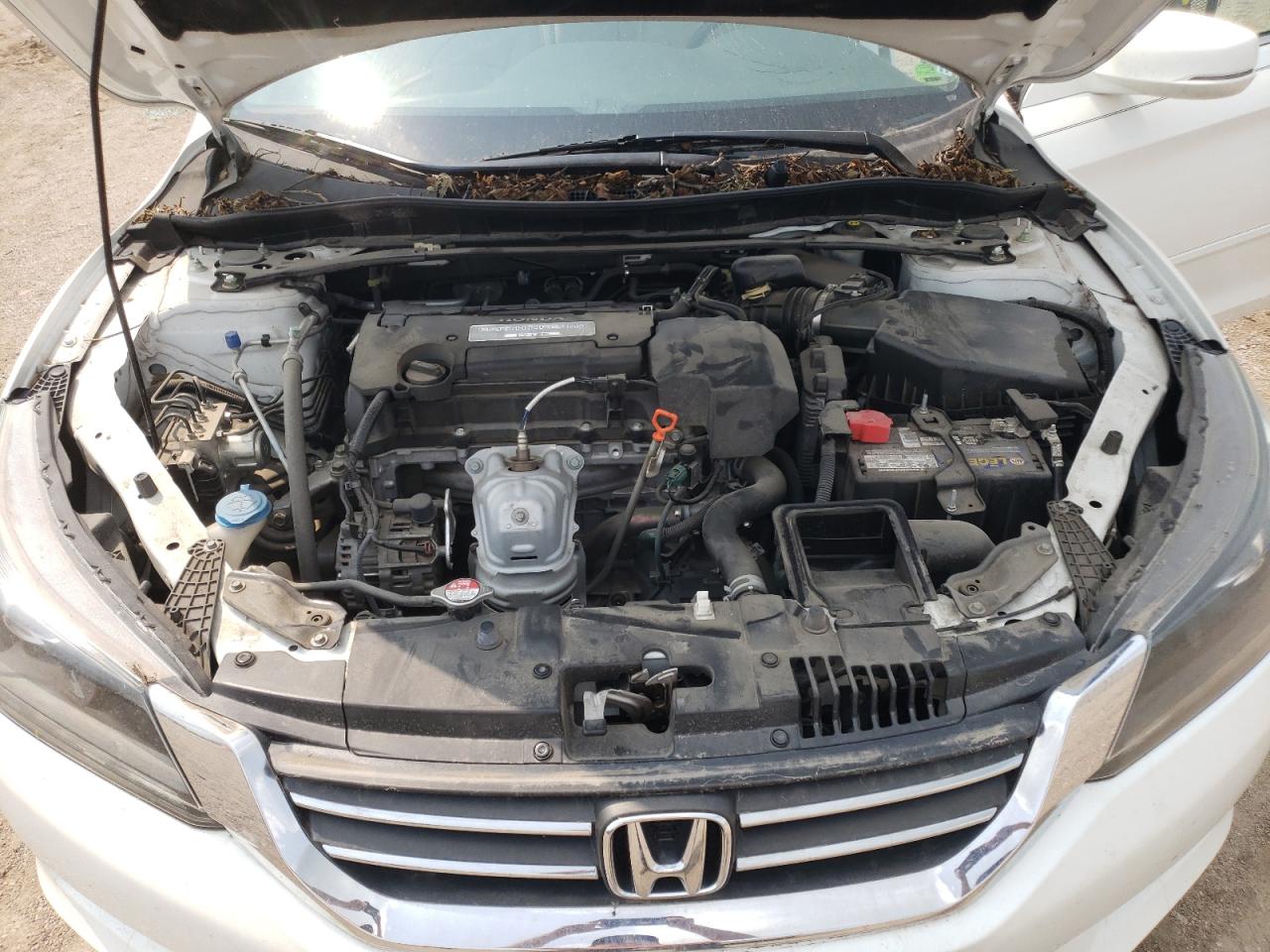 1HGCR2F82DA091124 2013 Honda Accord Exl