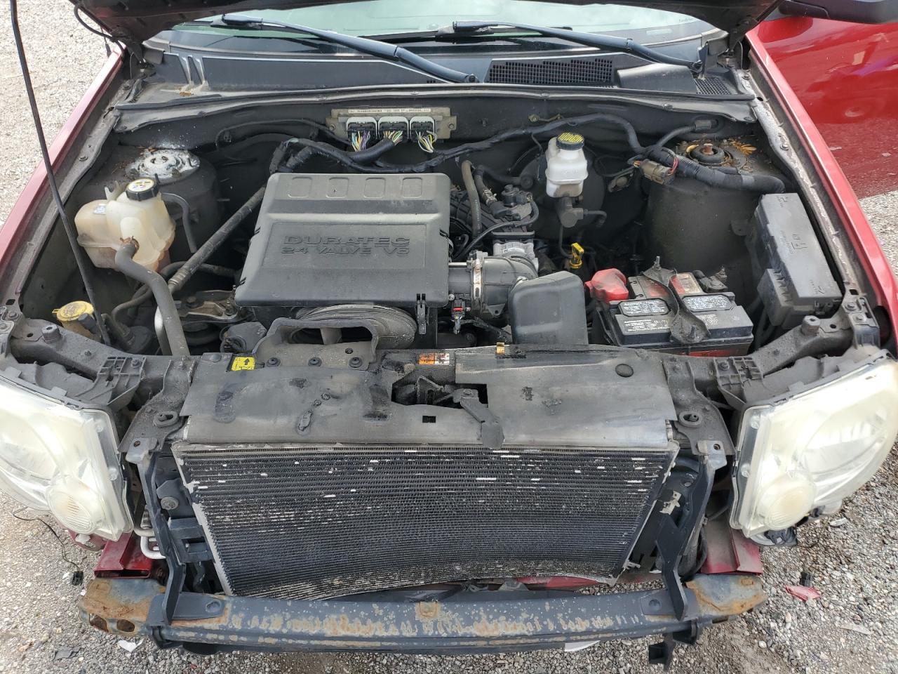 2011 Ford Escape Xlt VIN: 1FMCU0DG5BKB07962 Lot: 62917454