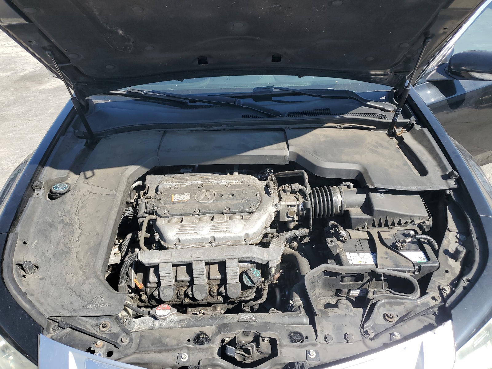 19UUA8F25AA025169 2010 Acura Tl