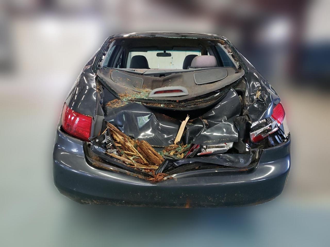 2005 Honda Accord Lx VIN: 1HGCM55435A195699 Lot: 60618014