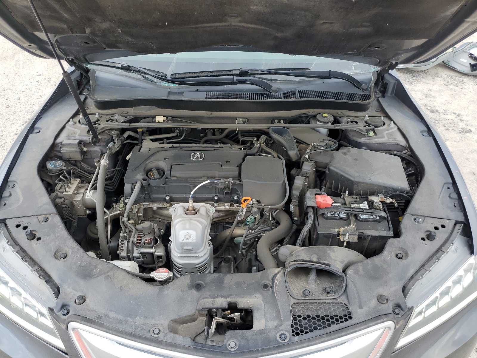 19UUB1F33HA009043 2017 Acura Tlx