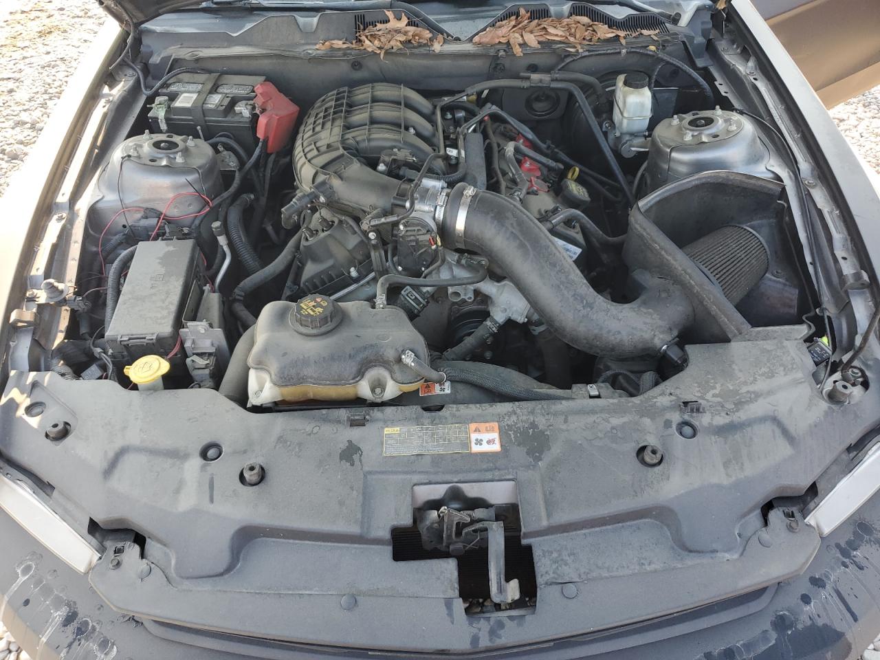 2012 Ford Mustang VIN: 1ZVBP8AM6C5281407 Lot: 62126474