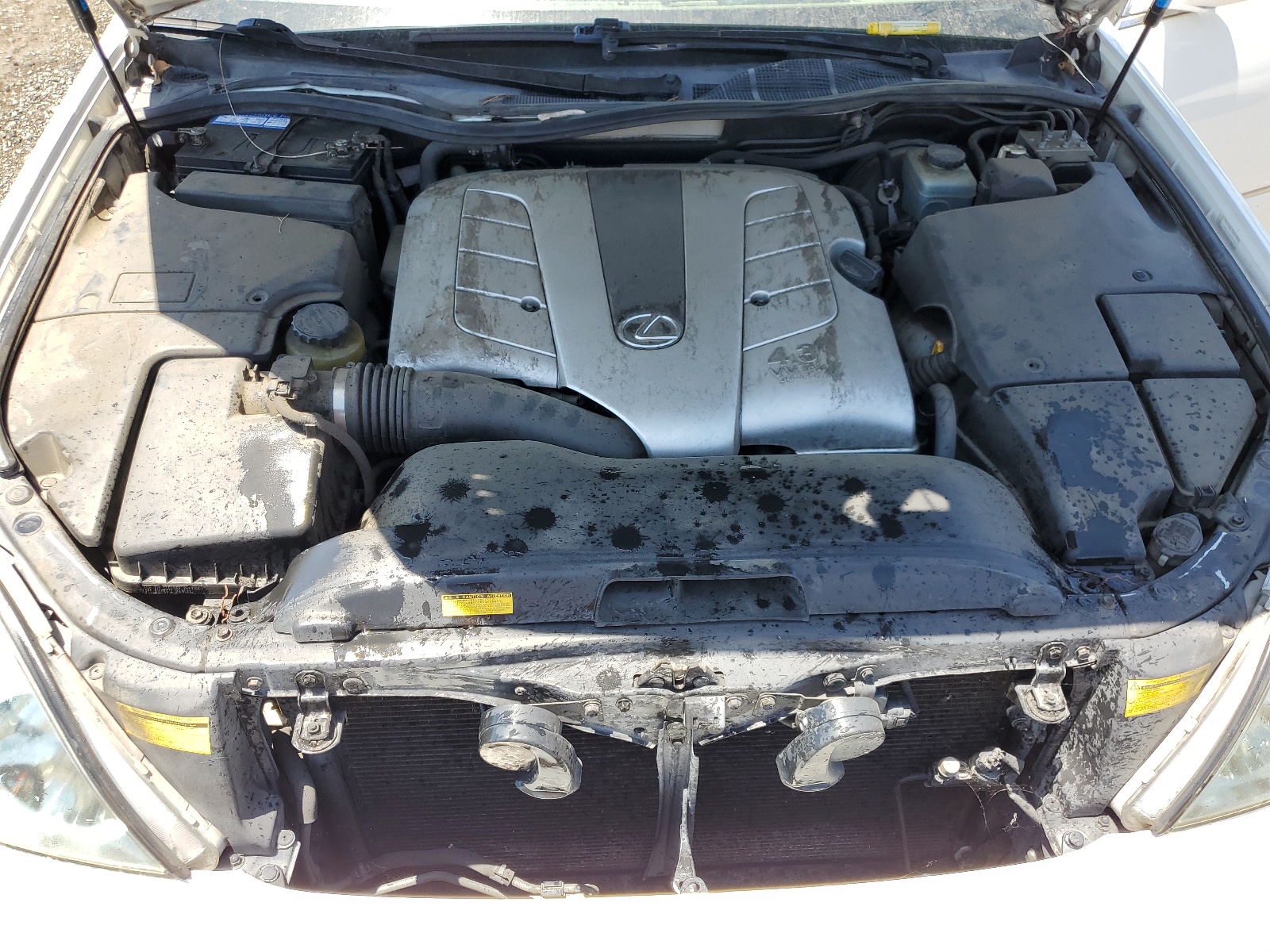 JTHBN30F020068364 2002 Lexus Ls 430