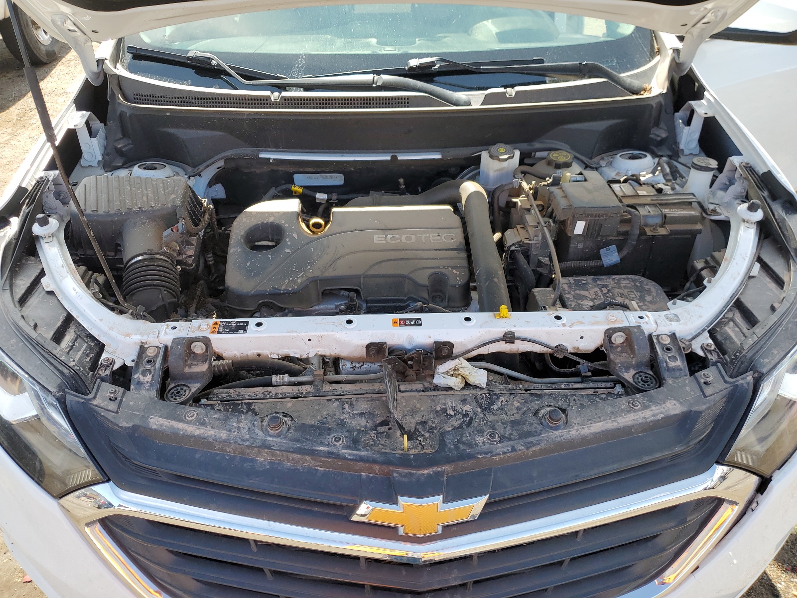 2GNAXTEV6M6139124 2021 Chevrolet Equinox Lt