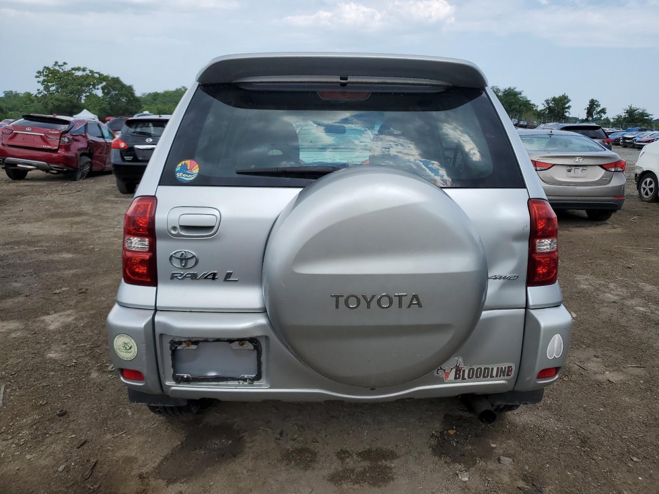 2004 Toyota Rav4 VIN: JTEHD20V346002113 Lot: 63534394