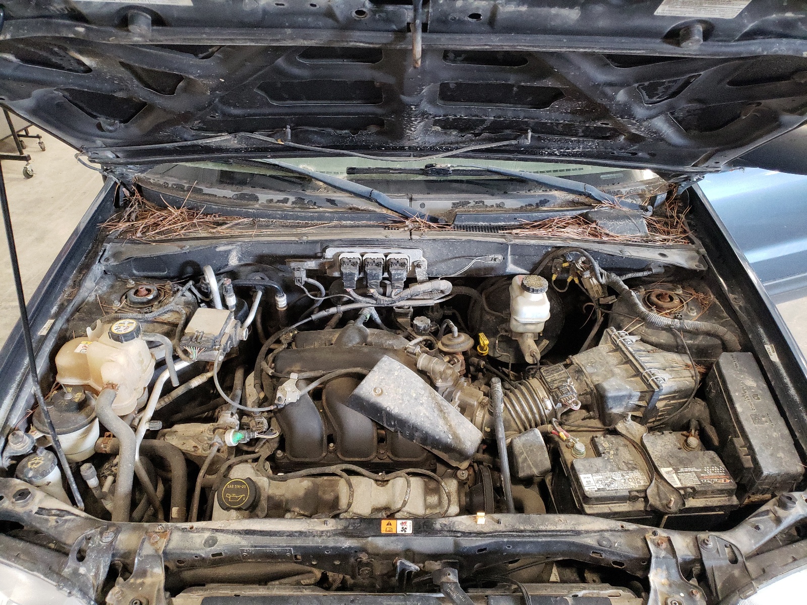 1FMCU93155KB29126 2005 Ford Escape Xlt