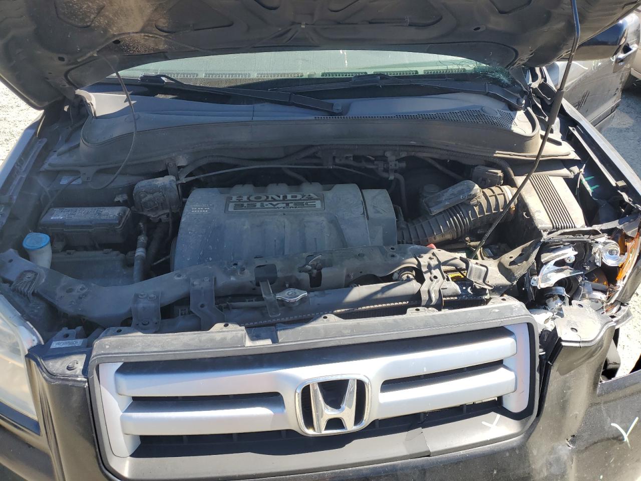 2007 Honda Pilot Exl VIN: 5FNYF285X7B036304 Lot: 65491814