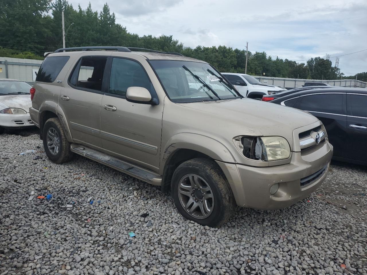 2006 Toyota Sequoia Sr5 VIN: 5TDBT44A06S273262 Lot: 64855564