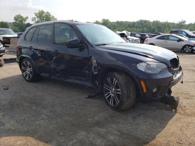  BMW X5 2013 Синий