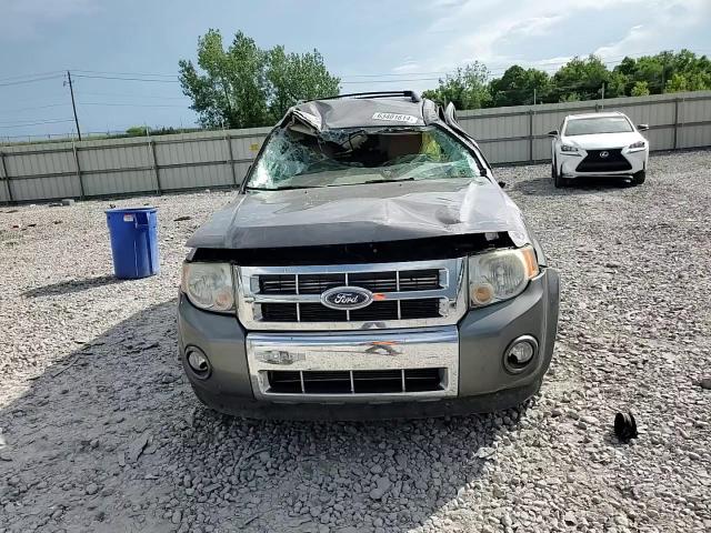 2010 Ford Escape Limited VIN: 1FMCU0EG7AKB01643 Lot: 63401614