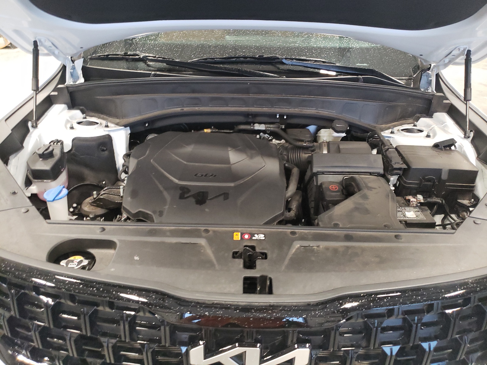 5XYP3DGC5RG420082 2024 Kia Telluride Ex