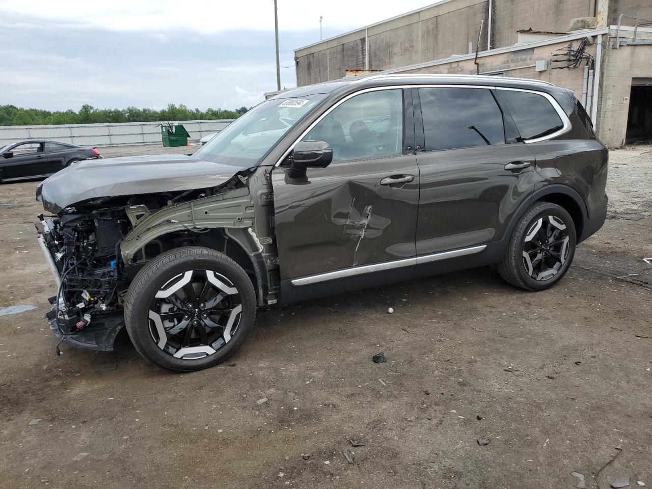 2024 Kia Telluride Ex VIN: 5XYP3DGC9RG419078 Lot: 63880594