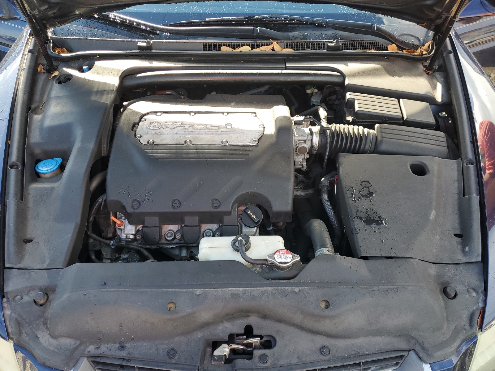 19UUA66244A030310 2004 Acura Tl