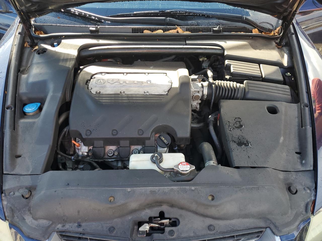 2004 Acura Tl VIN: 19UUA66244A030310 Lot: 63961374