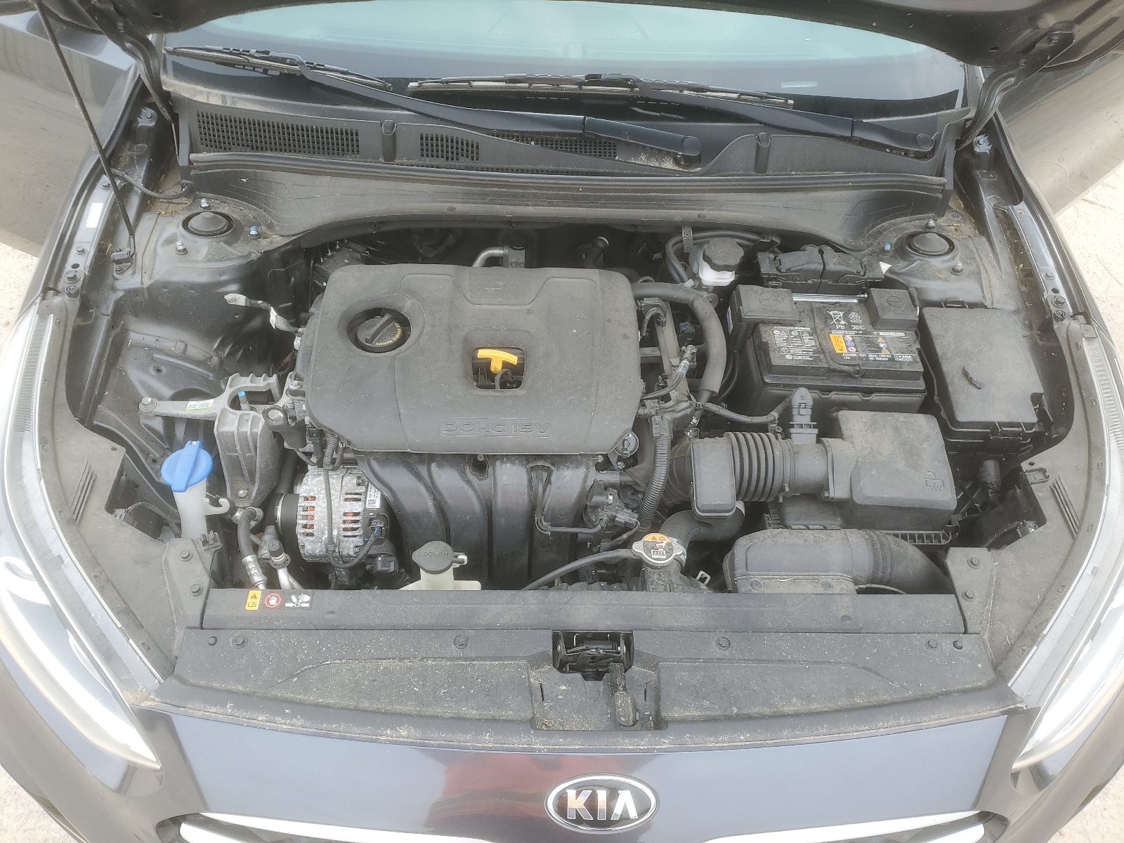 3KPF24AD0ME389331 2021 Kia Forte Fe