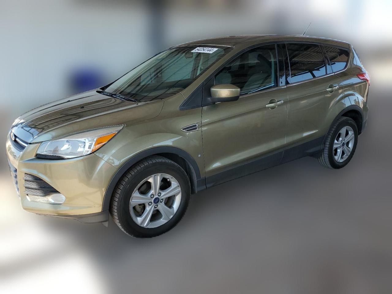 2013 Ford Escape Se VIN: 1FMCU0GX9DUC46415 Lot: 64054144