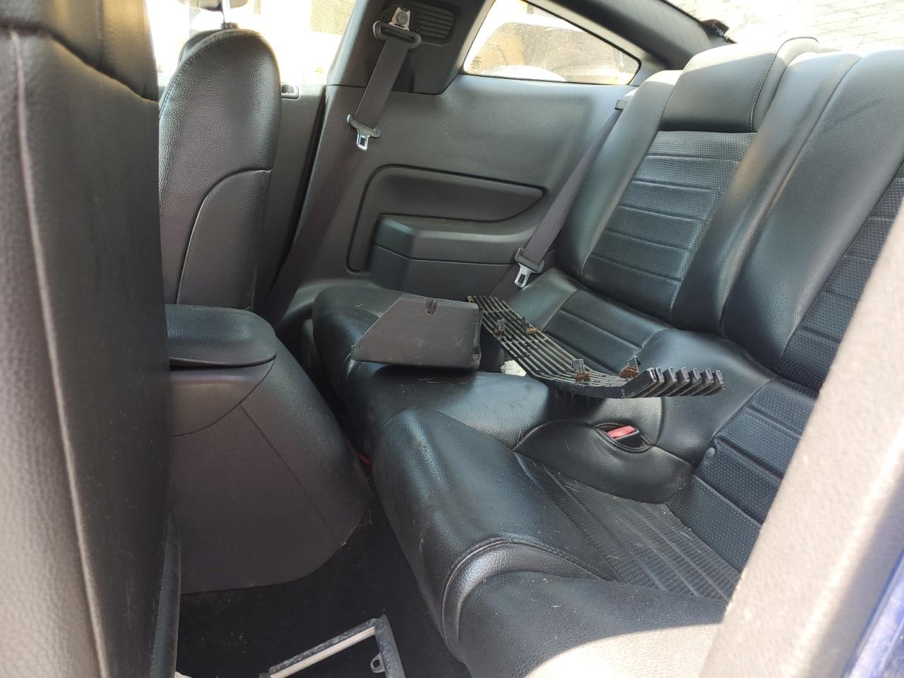 2006 Ford Mustang Gt VIN: 1ZVHT82H965157773 Lot: 61399234