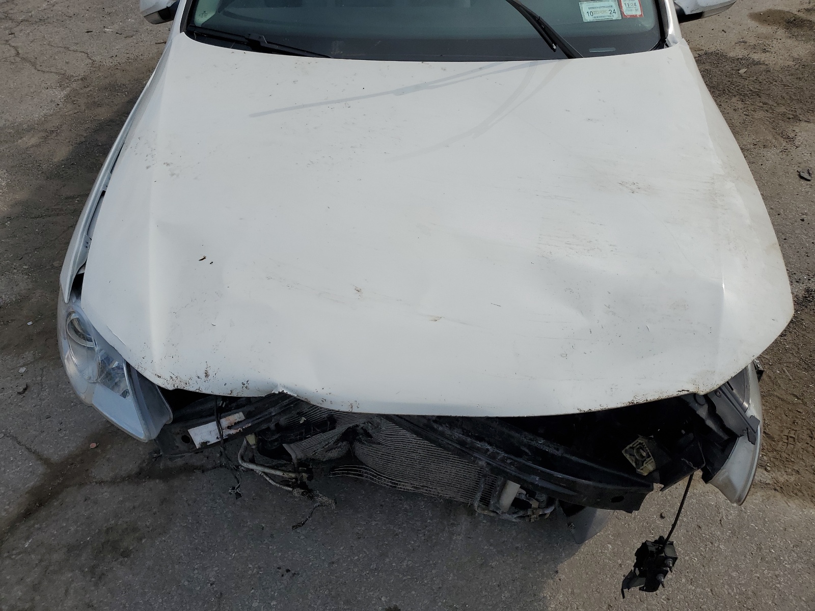 WVWEK73C56P054411 2006 Volkswagen Passat 2.0T Luxury