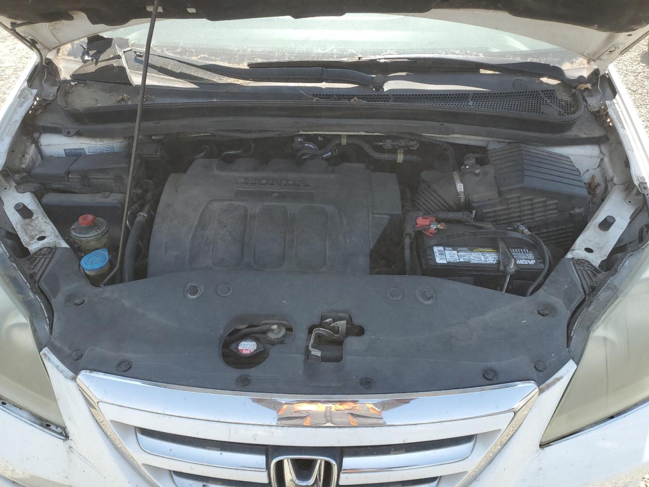 2007 Honda Odyssey Exl VIN: 5FNRL38707B421522 Lot: 63563274