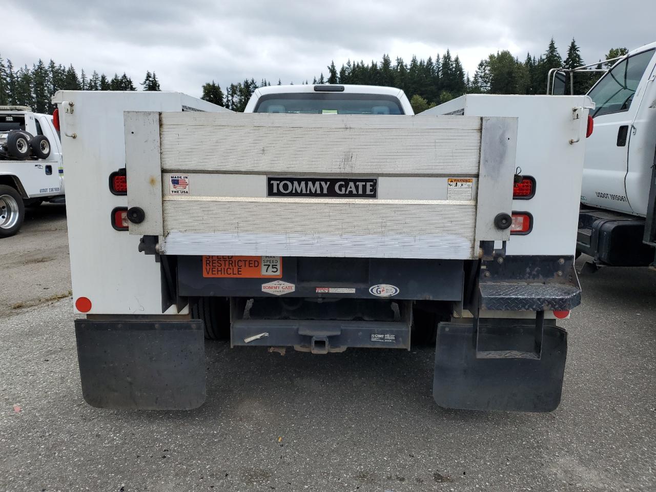 2016 Ford F450 Super Duty VIN: 1FD0X4GT7GEC71990 Lot: 63213304