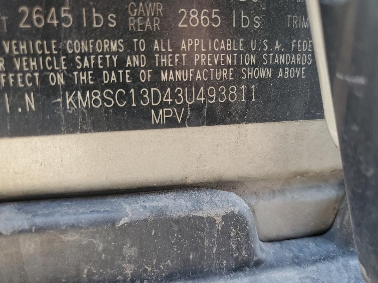 2003 Hyundai Santa Fe Gls VIN: KM8SC13D43U493811 Lot: 55731454