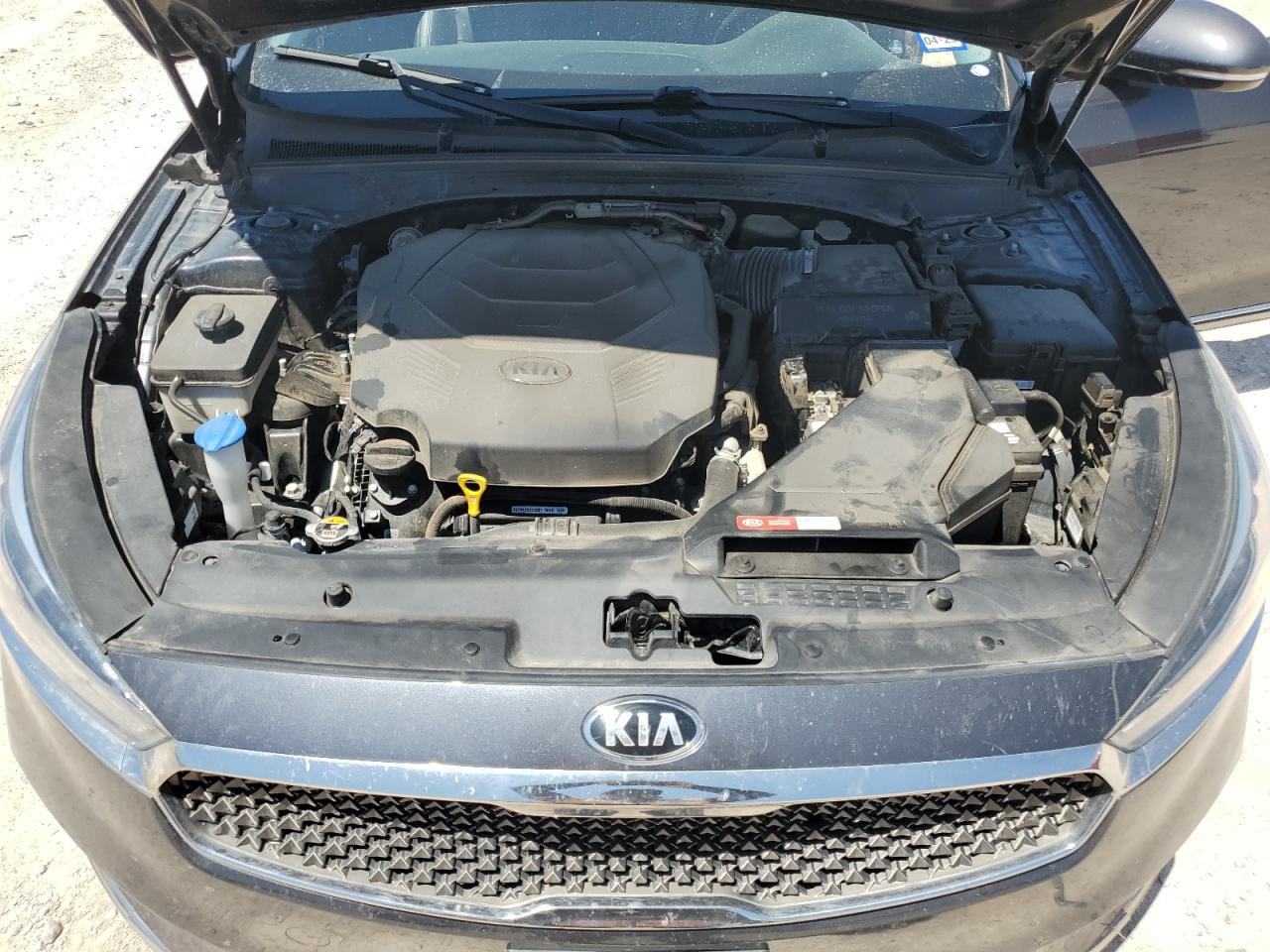 KNALB4J15K5165003 2019 Kia Cadenza Premium