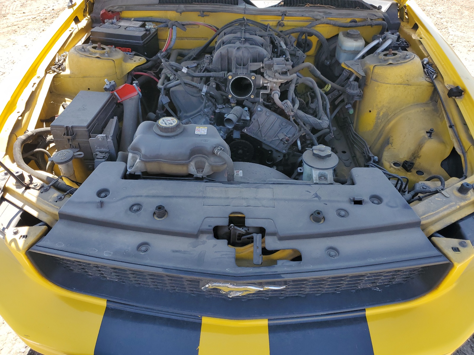 1ZVFT84N465217680 2006 Ford Mustang