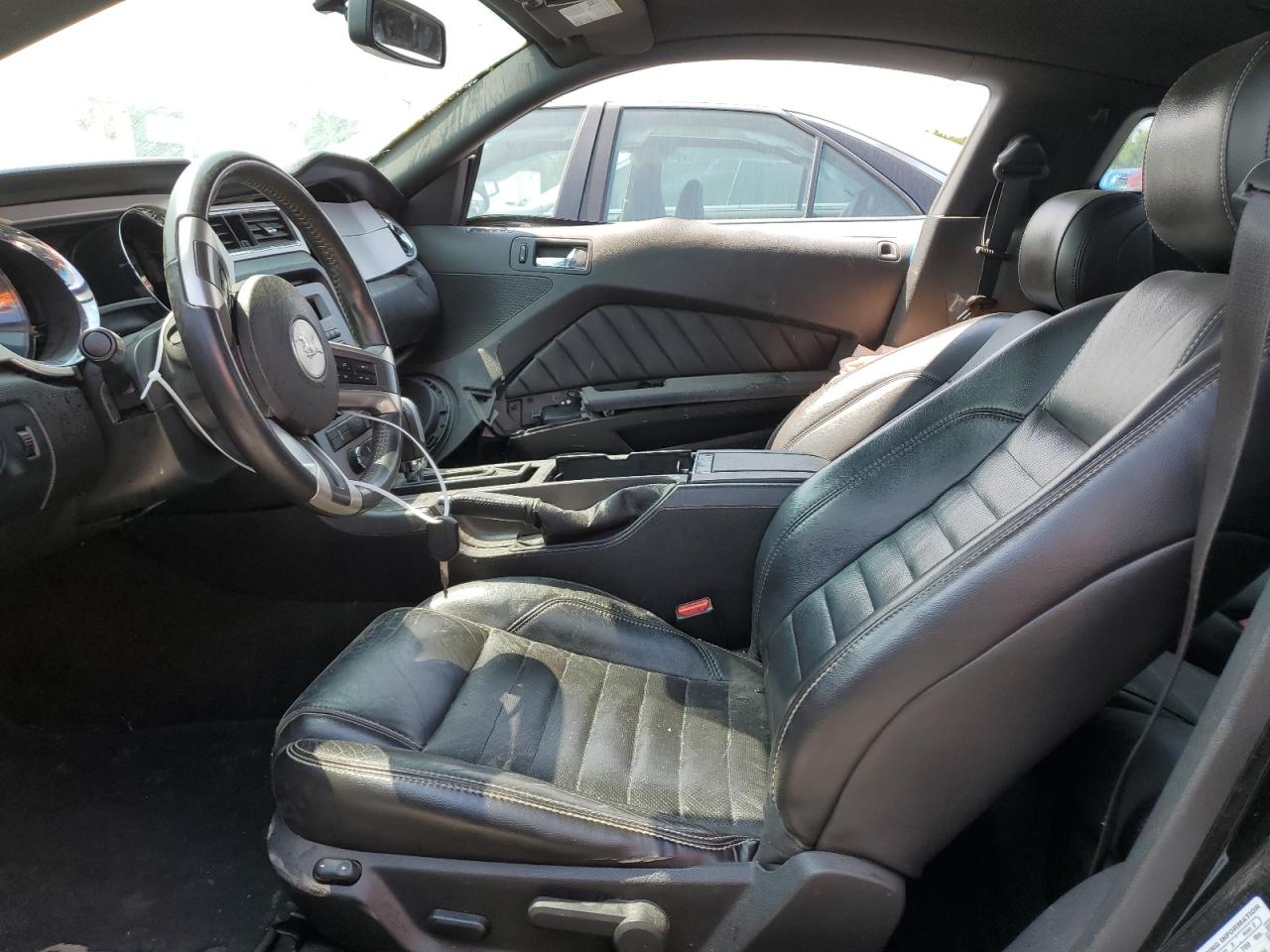 2013 Ford Mustang VIN: 1ZVBP8AM9D5262206 Lot: 56330624