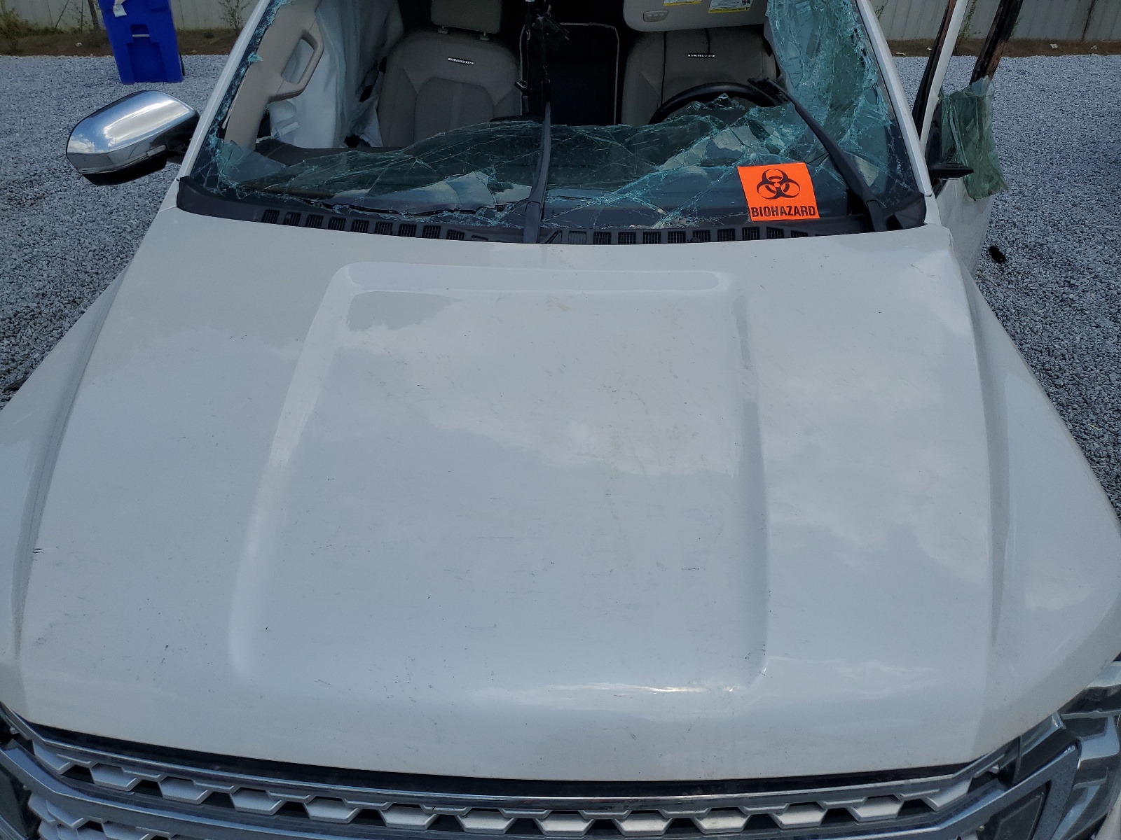 1FMJU1LT9KEA75186 2019 Ford Expedition Platinum