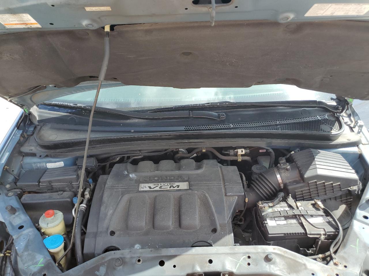 2009 Honda Odyssey Exl VIN: 5FNRL38619B045570 Lot: 63178604