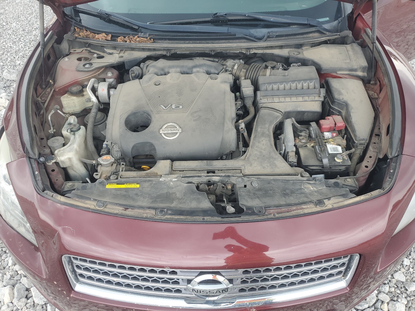 1N4AA5AP8BC822224 2011 Nissan Maxima S